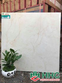 Gạch lát nền 60x60 bóng kiếng cao cấp KA17F6673
